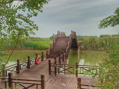 -泗洪洪泽湖湿地景区