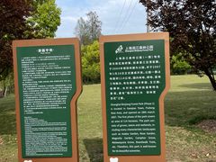 -上海滨江森林公园