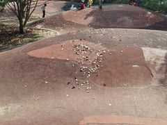 -黄兴公园