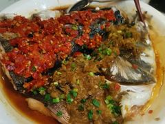 双椒蒸鱼头-鹊华居·地道鲁菜·海鲜·融合味(大明湖店)