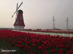 -菊园百果园