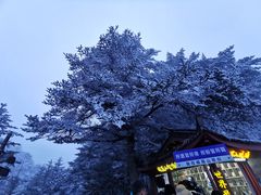 -峨眉山风景名胜区