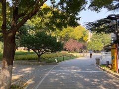 -丰台花园
