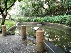 -黄埔荔枝公园