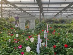 -南宫五洲植物乐园