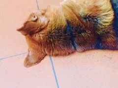 -扎与夏私房菜(西藏自治区拉萨市丹杰林巷店)