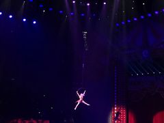 -珠海横琴长隆《卡卡虎奇遇记》