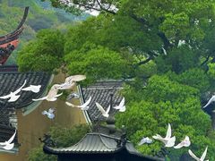 -阿育王寺