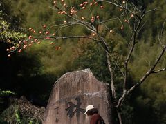 -林坑古村落