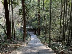 -绩溪龙川景区