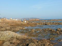 android_upload_pic-青岛第二海水浴场