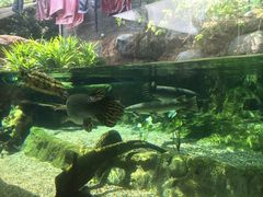 河川生态园-河川生态园