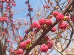 -北运河水利风景区