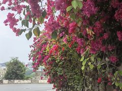 -白云山风景名胜区