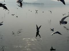 -蠡湖大桥公园