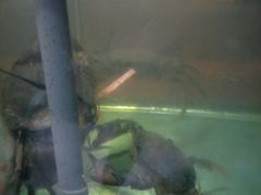 -老韩家清真食府