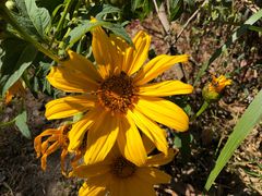 -优游吧斯邹族文化部落