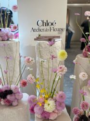 -SALON DE VANHADA