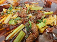 火爆牛肉丝-杨三孃跷脚牛肉(美洲花园店)