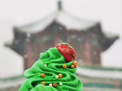 -野人牧坊Gelato(天津南开大悦城店)