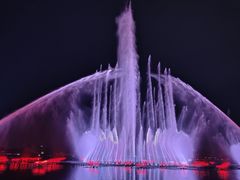 -九龙湖公园