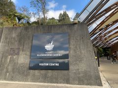 -怀托摩萤火虫洞