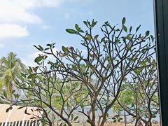 -雾山韩式烤肉·海南糟粕&椰子鸡火锅·海景餐厅(三亚绿发山海天JW万豪酒店)