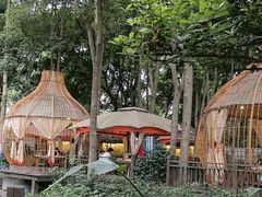 -二荆条·蜀鲜汇城市森林火锅