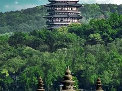 -运河游船(武林门码头)