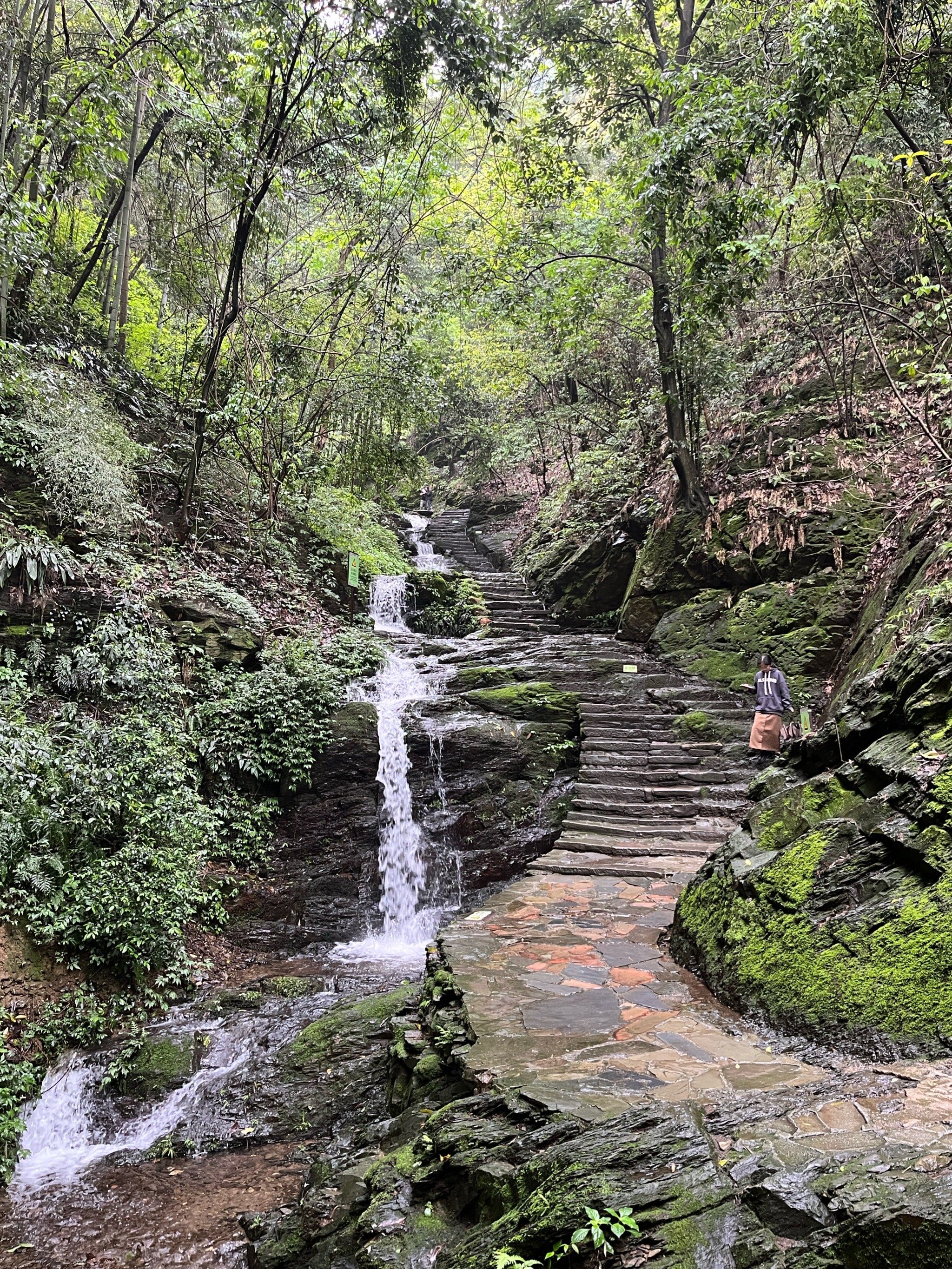 曲径通幽的山间路