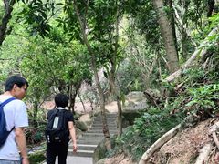 -火炉山森林公园