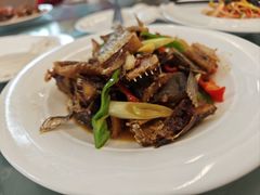 -喀纳斯鸿福生态度假酒店