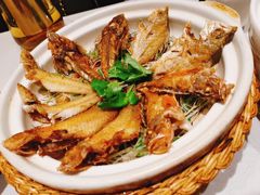 杂鱼鼎-潮州府·潮菜·砂锅粥(徐家汇店)