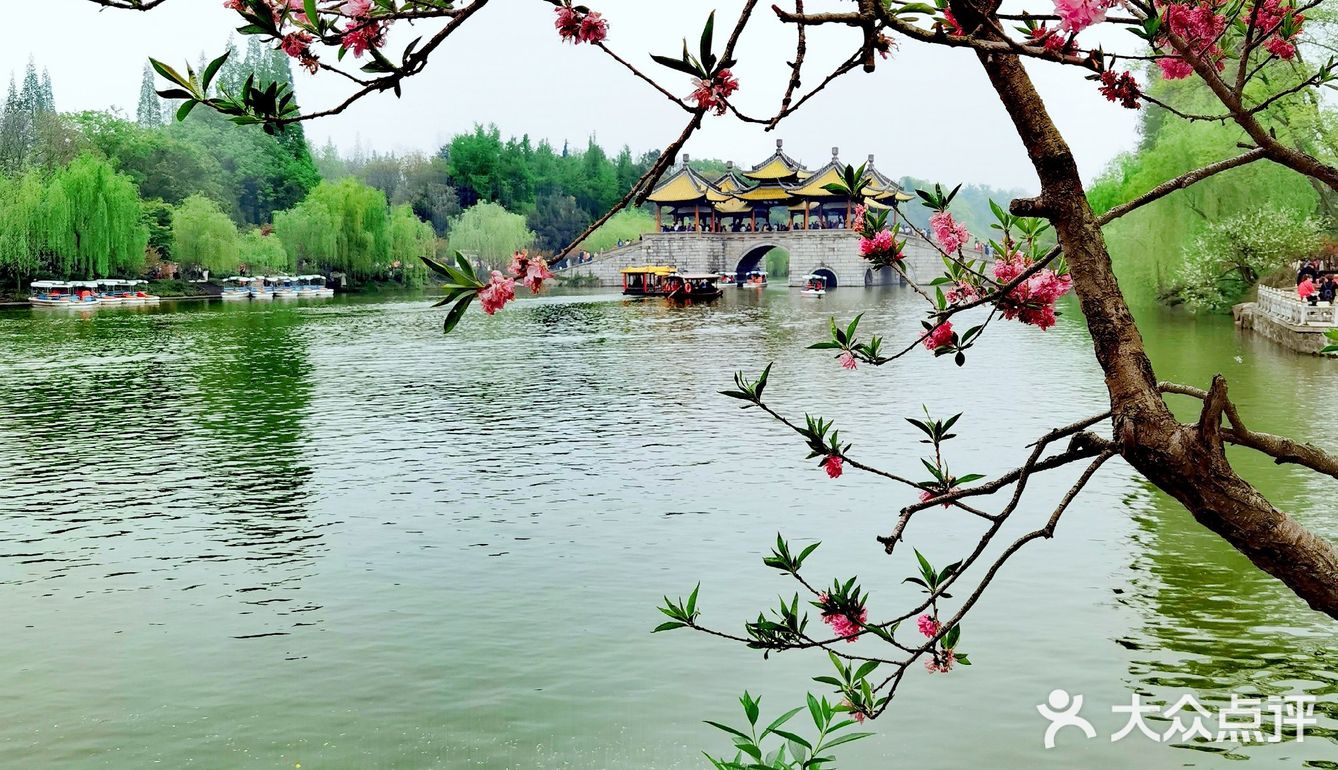 扬州这副画好美，自然之美展现华夏民族魅力！🌿🍀