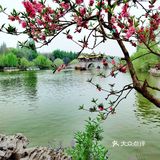扬州这副画好美，自然之美展现华夏民族魅力！🌿🍀