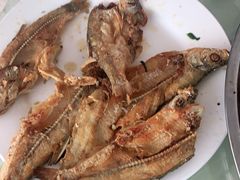 -庆岭迎宾园正宗活鱼馆