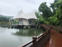 -帐篷客·溪龙茶谷度假酒店