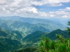 -牛背梁国家森林公园