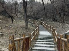 -白水寺森林公园