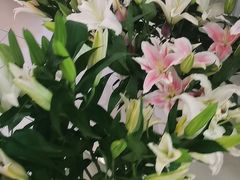 -東更道点心行(北京龙湖熙悦天街店)