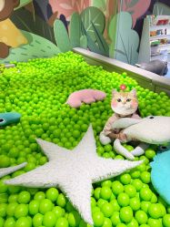 -MINI MARS KIDS CLUB亲子家庭中心(长宁天山店)