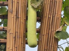 -中国天府农业博览园