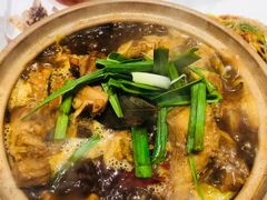 -杨氏青龙虾·羊蝎子(托乐嘉店)