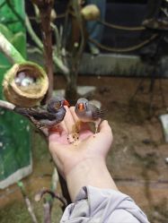 -Zoolung Zoolung动物主题公园(海信广场店)