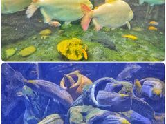 -珠海长隆海洋王国