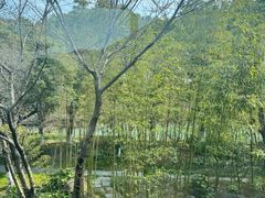 -阳澄湖费尔蒙酒店颐丰阁中餐厅(马鞍山西路店)