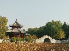 -莲池书院博物馆
