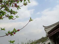 -阳朔悦榕庄·明月西餐厅&清风吧