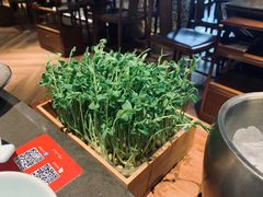 -捞王锅物料理(上海世茂广场店)