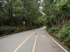 -东莞市大岭山森林公园